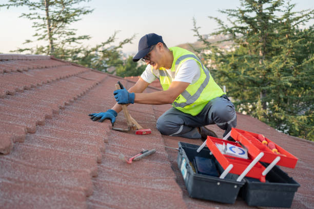 Best Sealant for Roof  in Fritch, TX